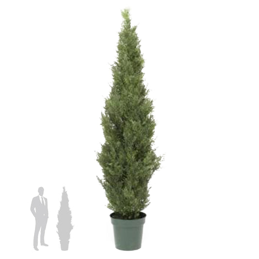 Planta artificiala Juniperus 180 cm