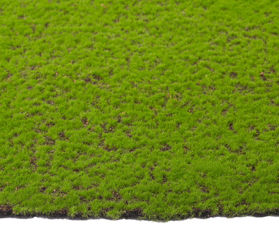 Planta artificiala Planta artificiala Muschi carpeta 1mp (100X100cm) V2