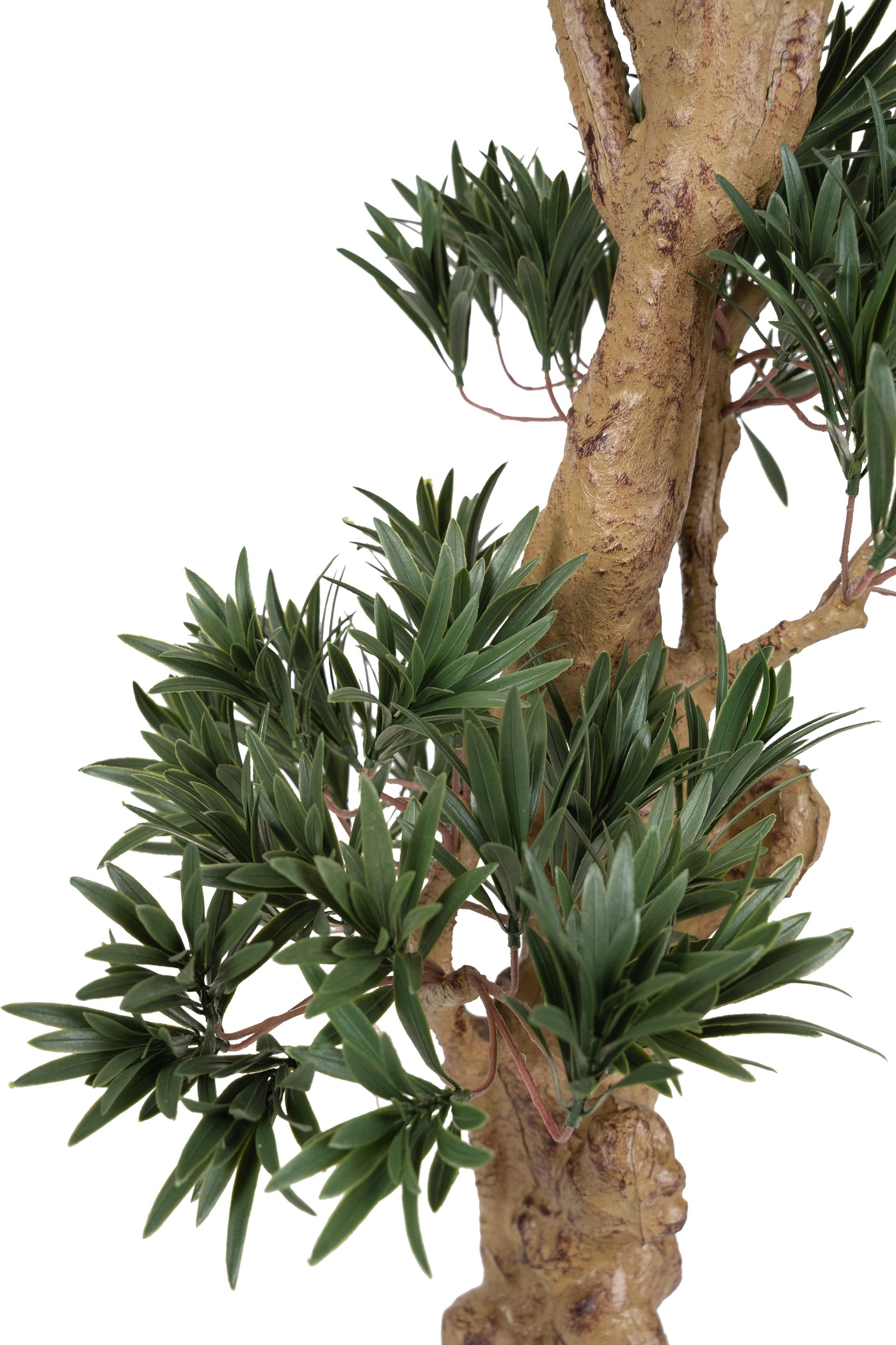 Bonsai artificial H100cm Podocarpus cu 4140 frunze
