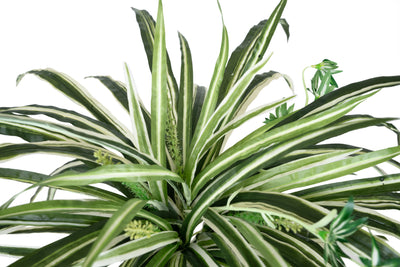 Planta artificiala - Spider