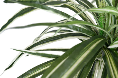 Planta artificiala - Spider