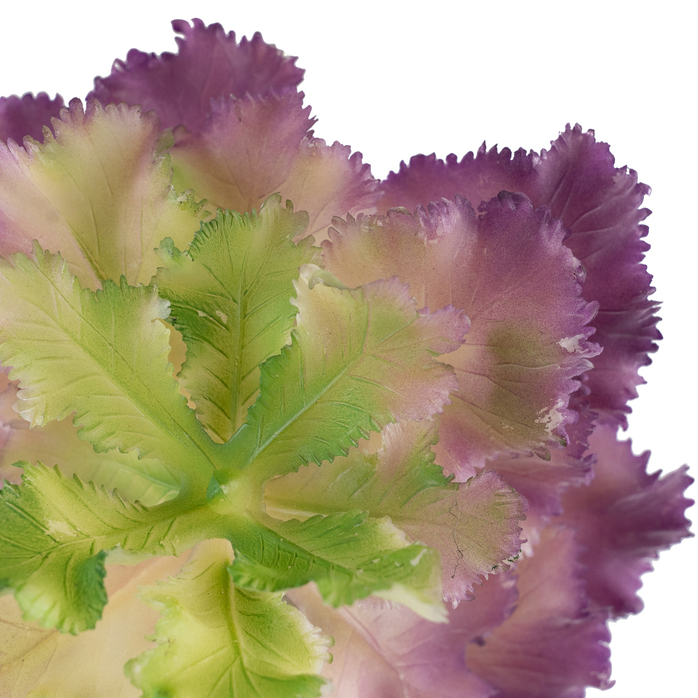 Planta artificiala Planta artificiala suculenta D16xH8xH17 model1