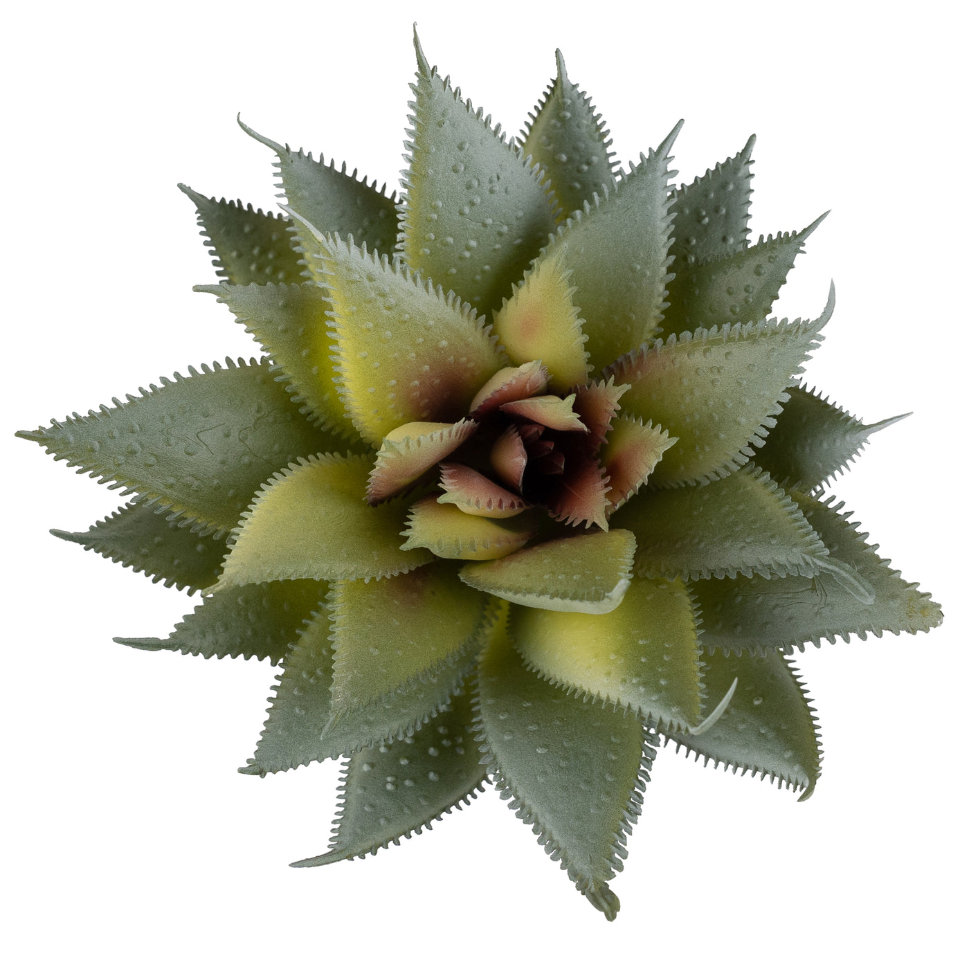 Planta artificiala Planta artificiala suculenta D9xH7xH16 model3