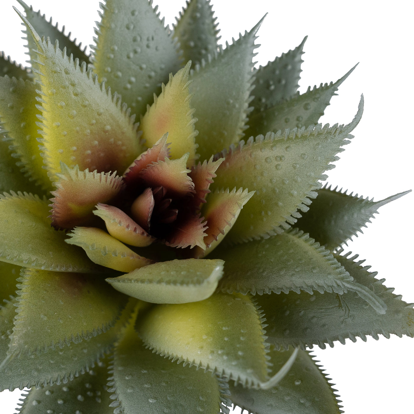 Planta artificiala Planta artificiala suculenta D9xH7xH16 model3