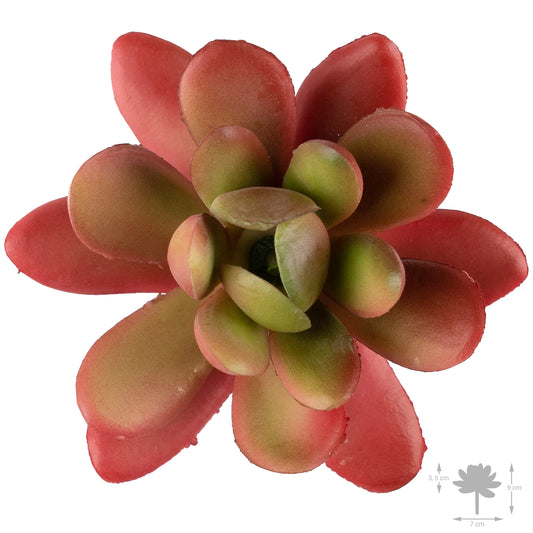 Planta artificiala Planta artificiala suculenta model10