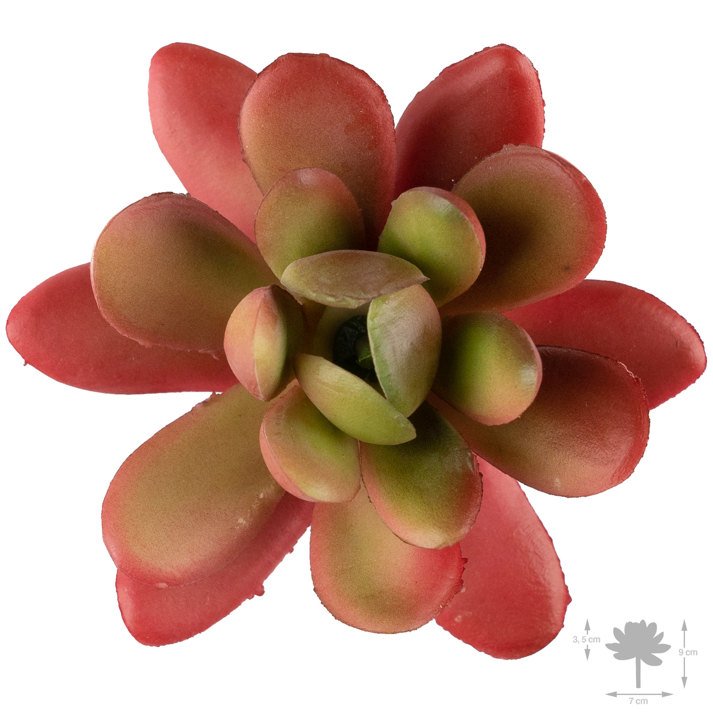 Planta artificiala Planta artificiala suculenta model10