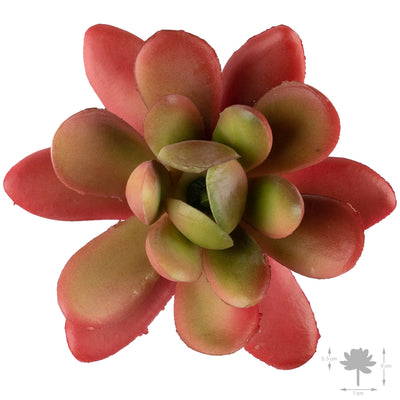Planta artificiala Planta artificiala suculenta model10