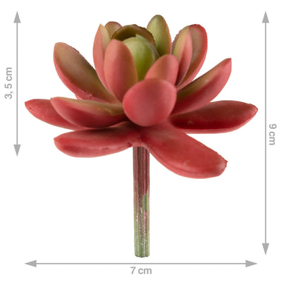 Planta artificiala Planta artificiala suculenta model10