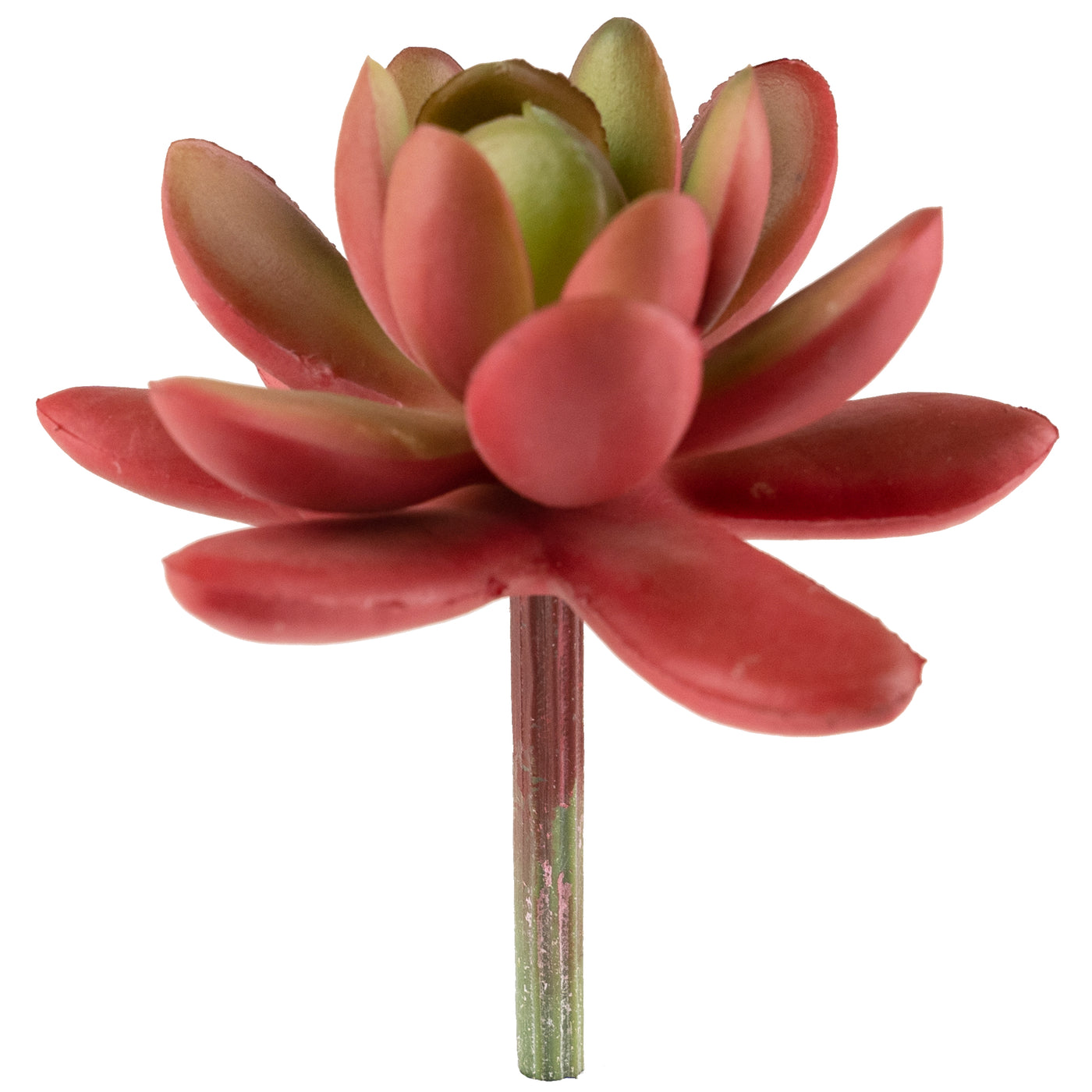 Planta artificiala Planta artificiala suculenta model10