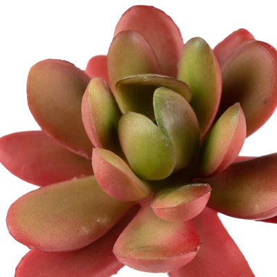 Planta artificiala Planta artificiala suculenta model10