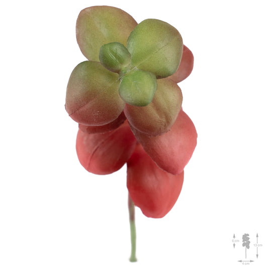 Planta artificiala Planta artificiala suculenta model11