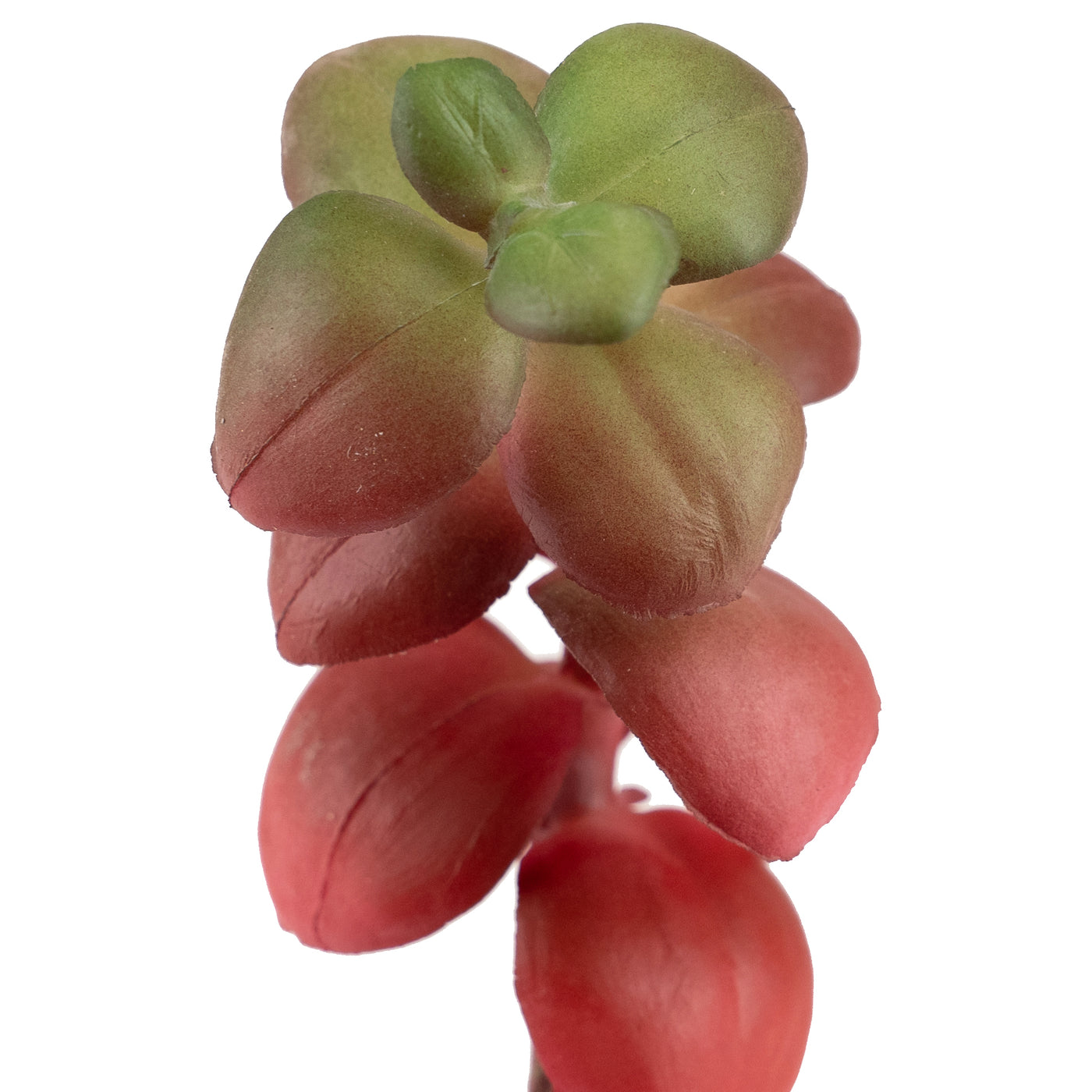 Planta artificiala Planta artificiala suculenta model11