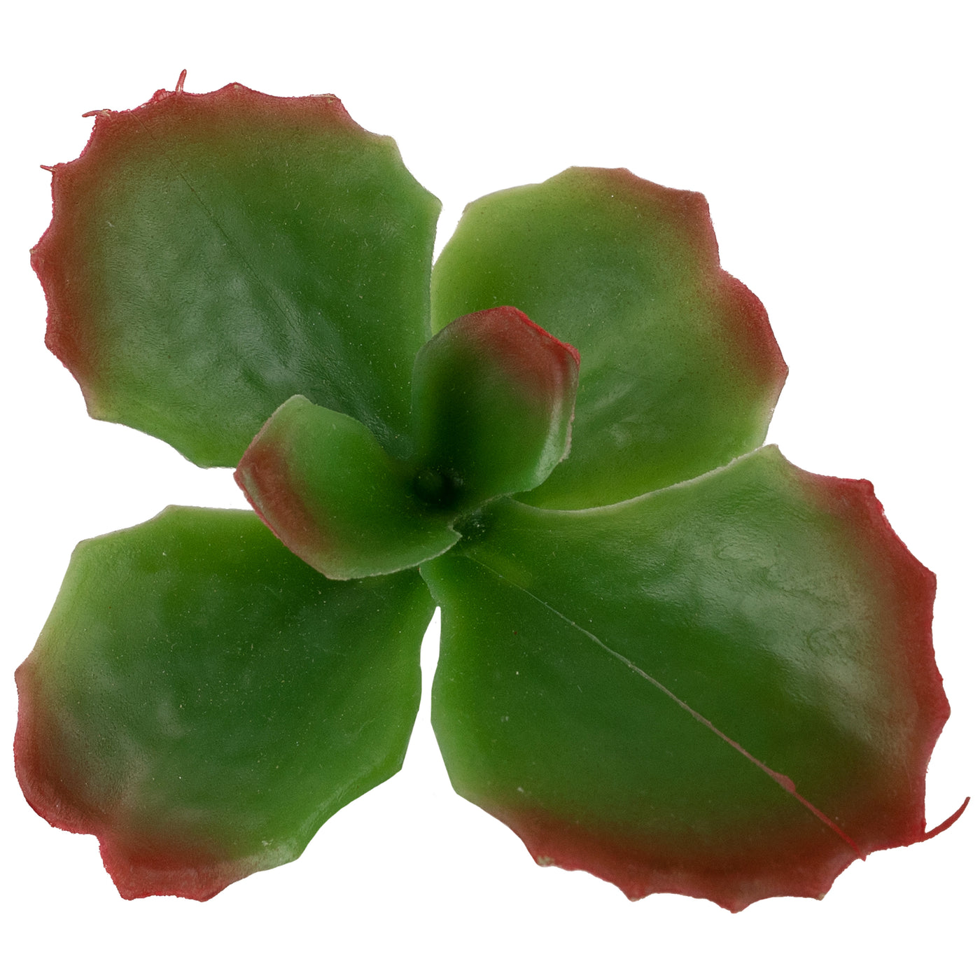 Planta artificiala Planta artificiala suculenta model12