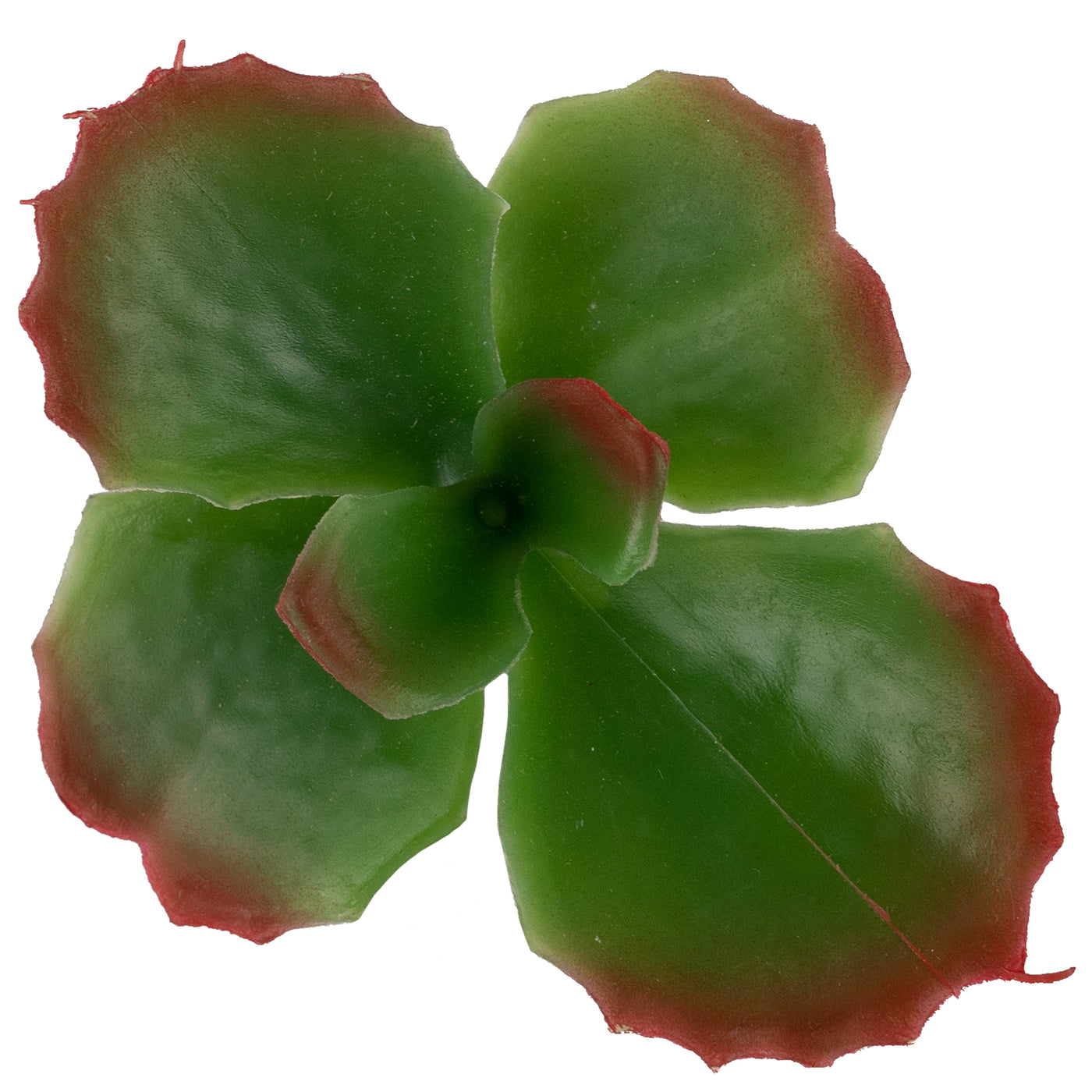 Planta artificiala Planta artificiala suculenta model12