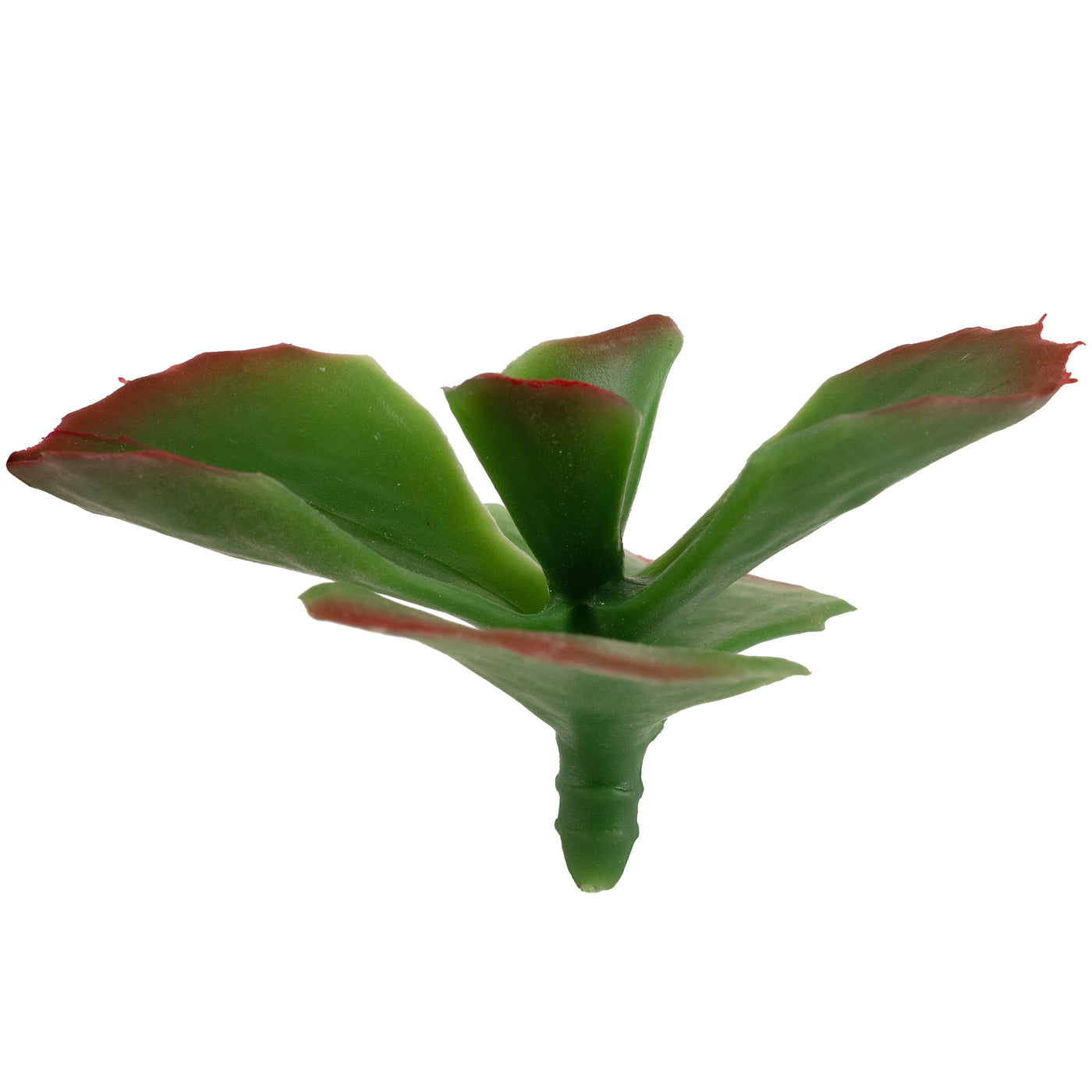 Planta artificiala Planta artificiala suculenta model12