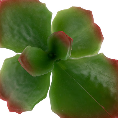 Planta artificiala Planta artificiala suculenta model12