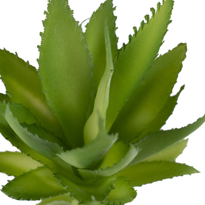 Planta artificiala Planta artificiala suculenta model13