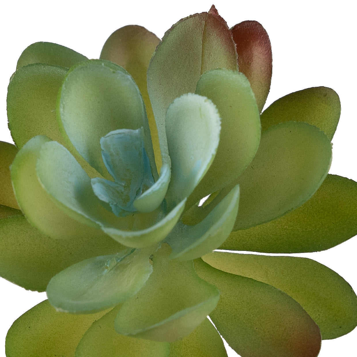 Planta artificiala Planta artificiala suculenta model14