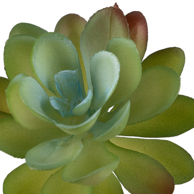 Planta artificiala Planta artificiala suculenta model14