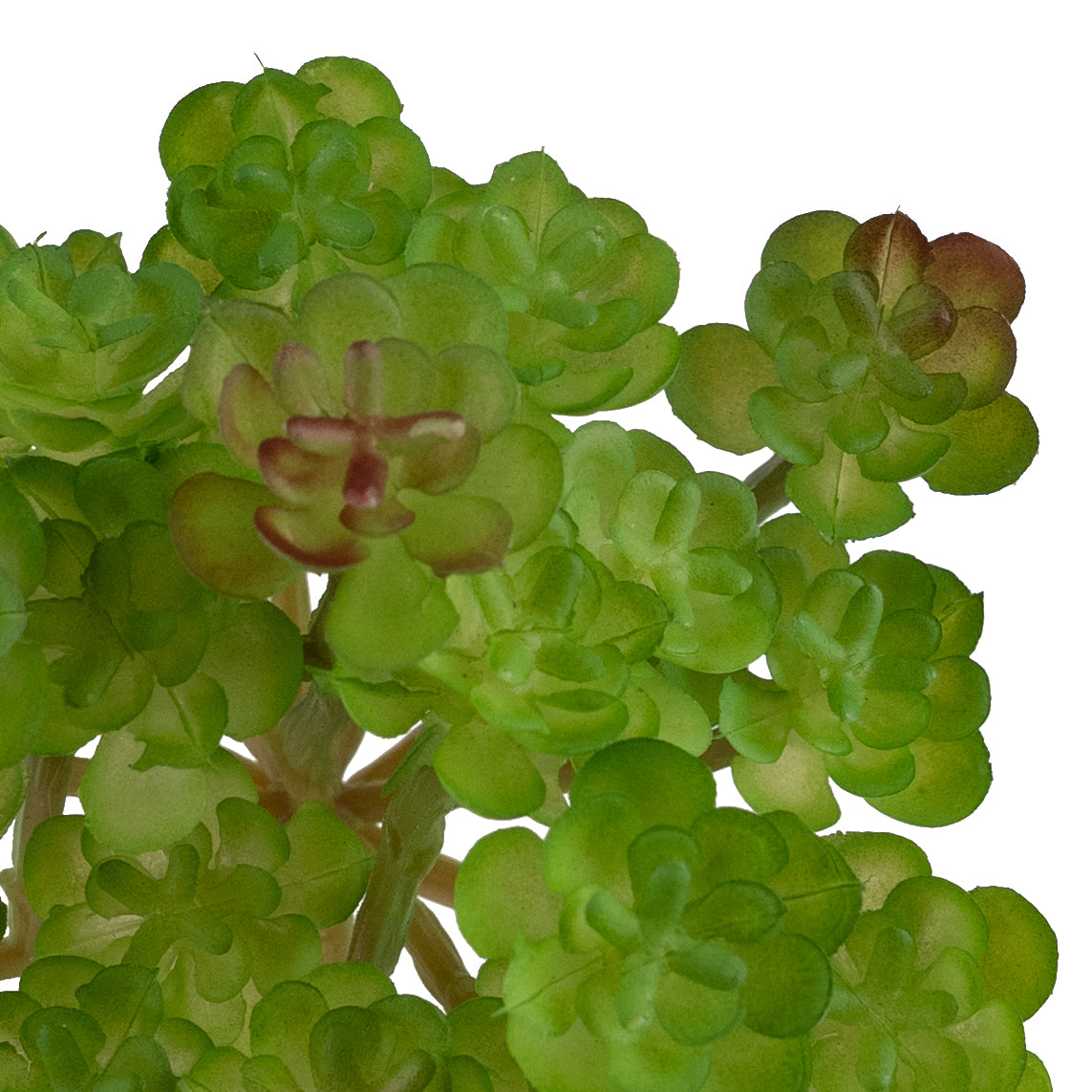 Planta artificiala Planta artificiala suculenta model15