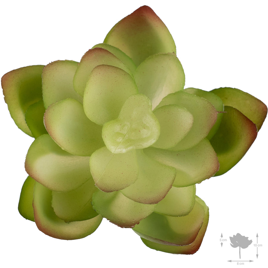 Planta artificiala Planta artificiala suculenta model16