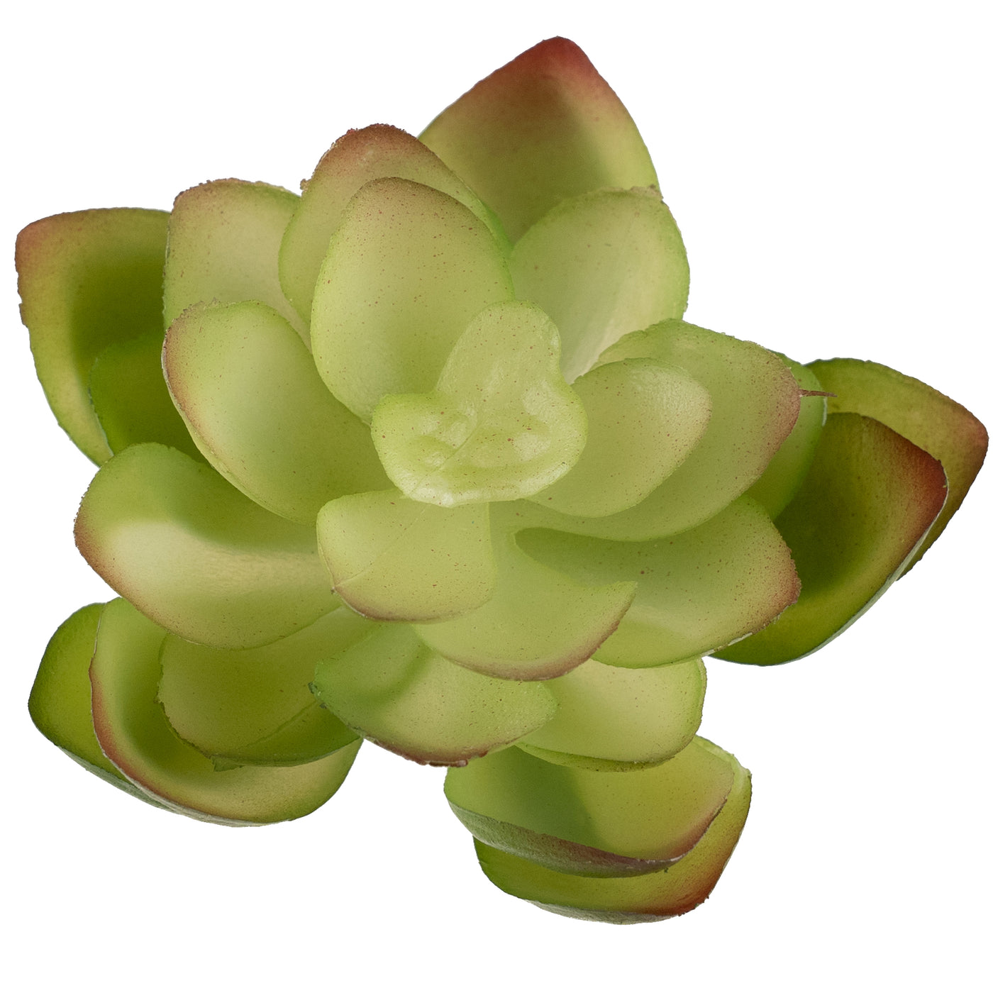 Planta artificiala Planta artificiala suculenta model16
