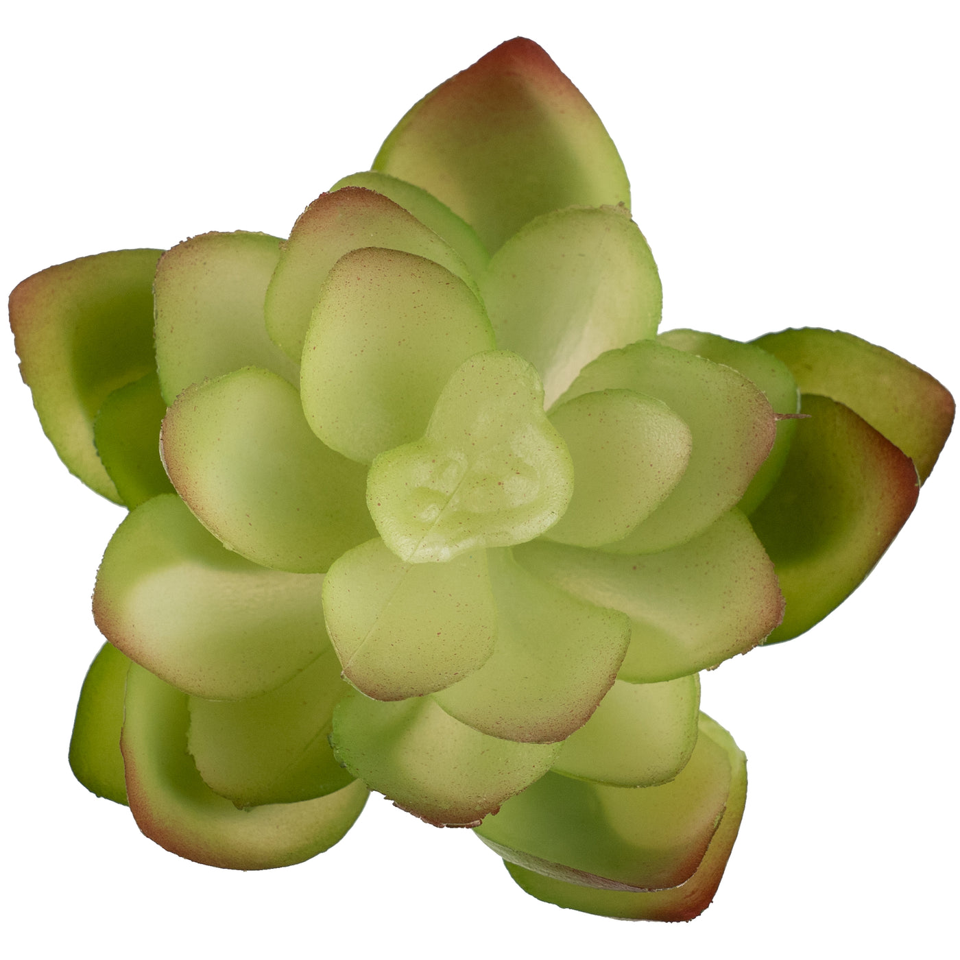 Planta artificiala Planta artificiala suculenta model16