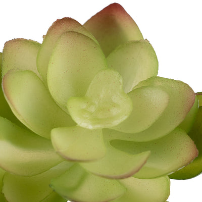 Planta artificiala Planta artificiala suculenta model16