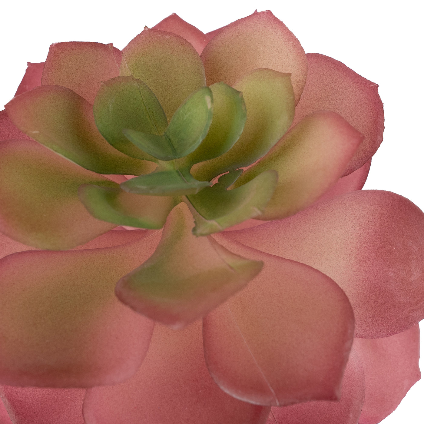 Planta artificiala Planta artificiala suculenta model18