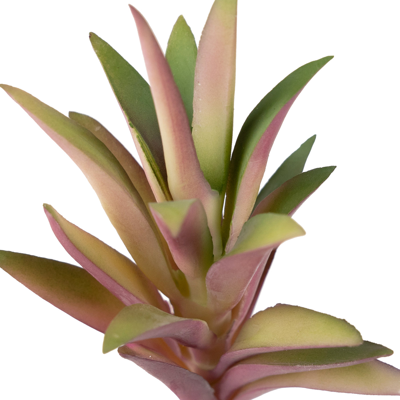 Planta artificiala Planta artificiala suculenta model19