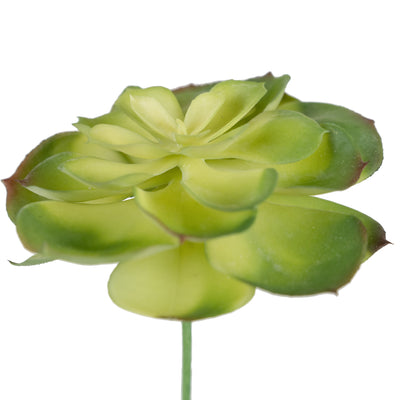 Planta artificiala Planta artificiala suculenta model2 DK