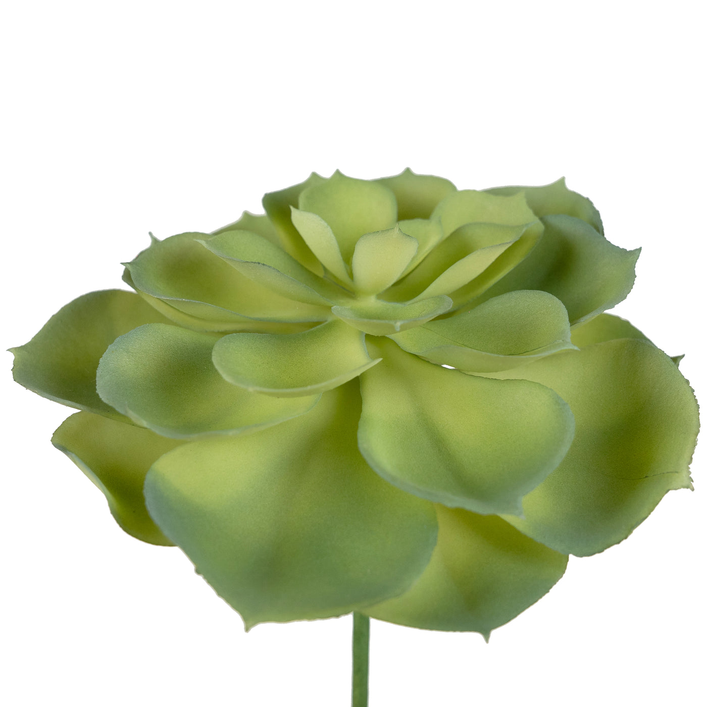 Planta artificiala Planta artificiala suculenta model2 LGHT