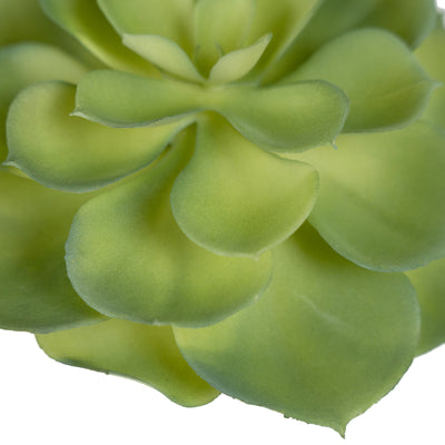 Planta artificiala Planta artificiala suculenta model2 LGHT