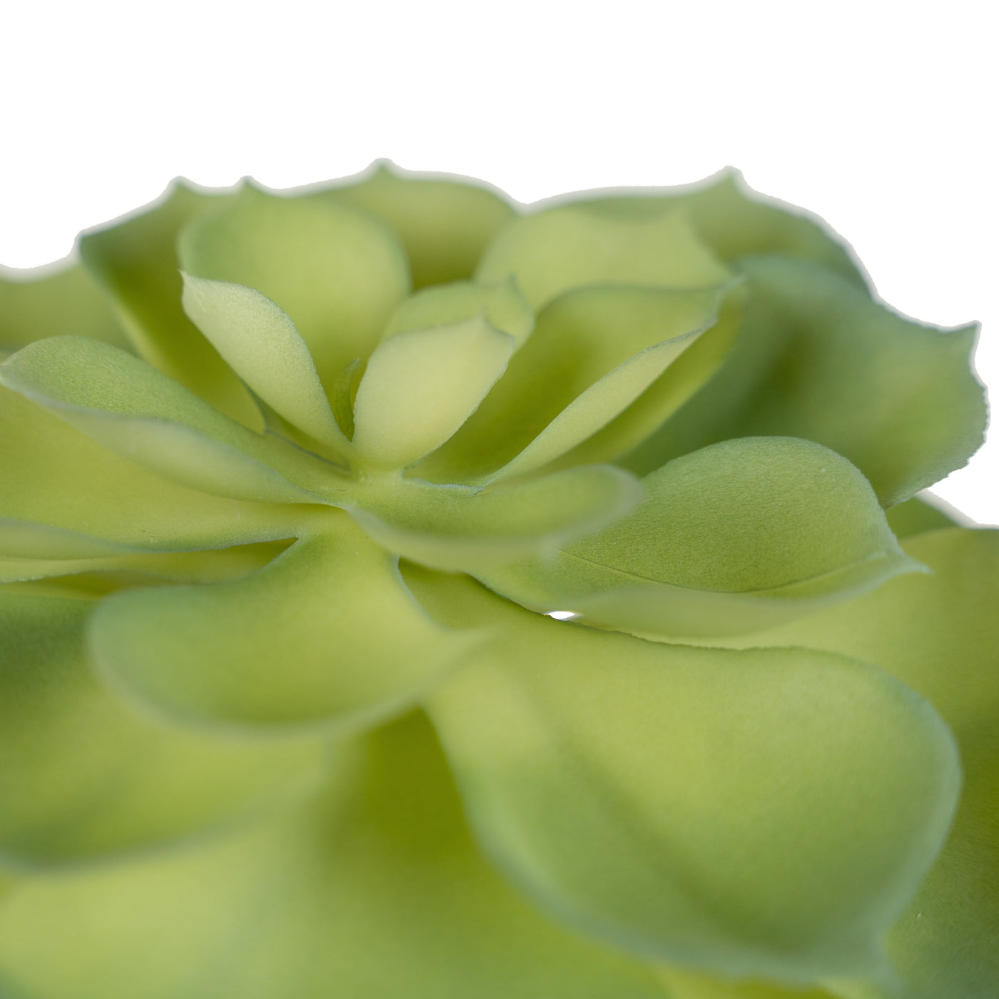 Planta artificiala Planta artificiala suculenta model2 LGHT