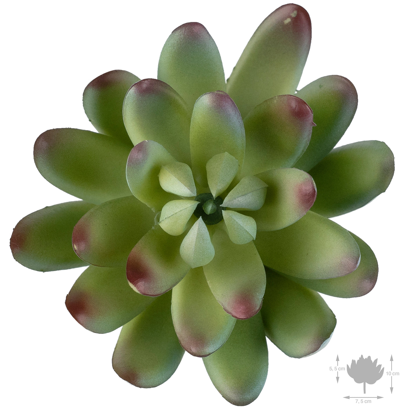 Planta artificiala Planta artificiala suculenta model20