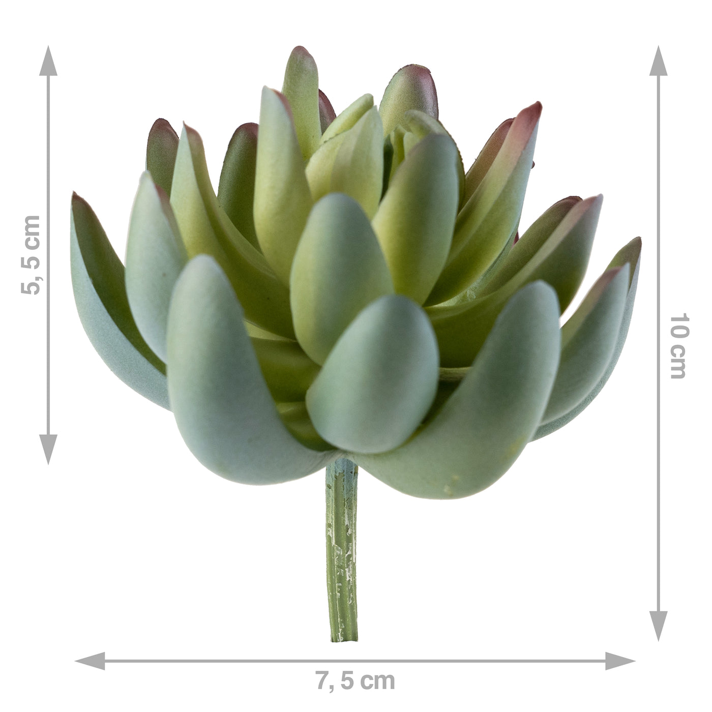 Planta artificiala Planta artificiala suculenta model20