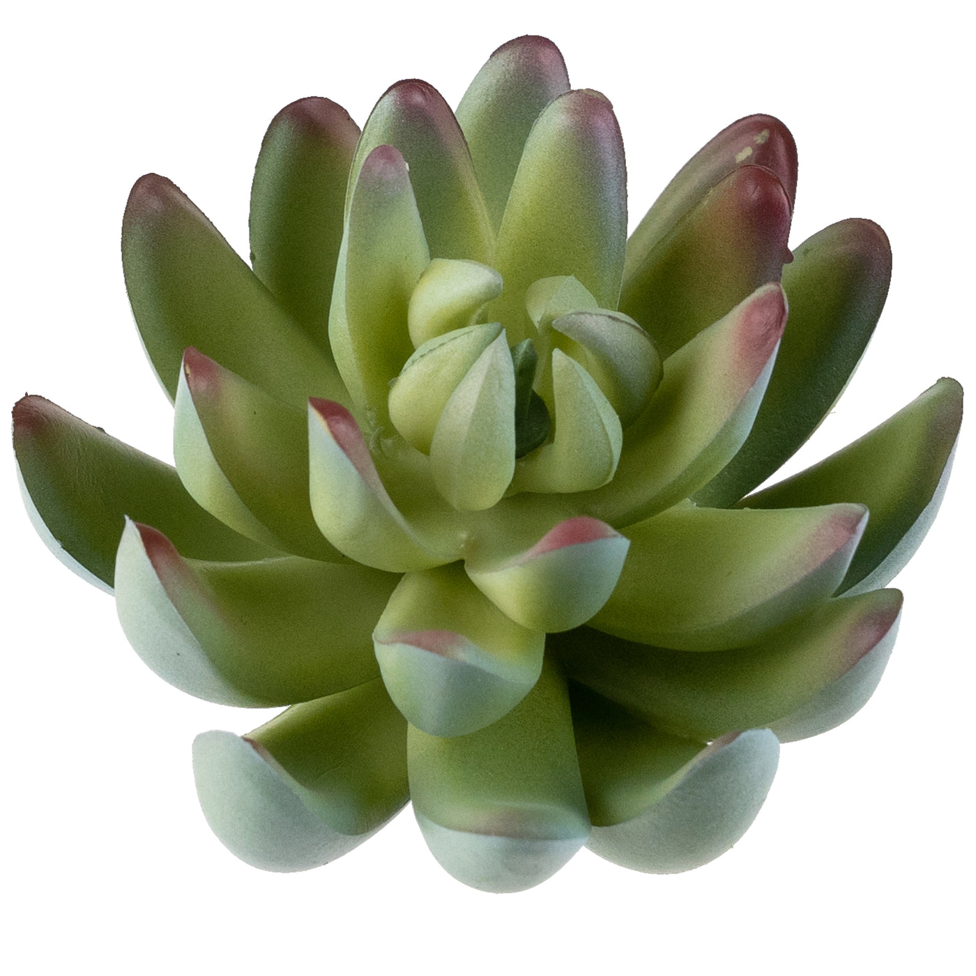 Planta artificiala Planta artificiala suculenta model20