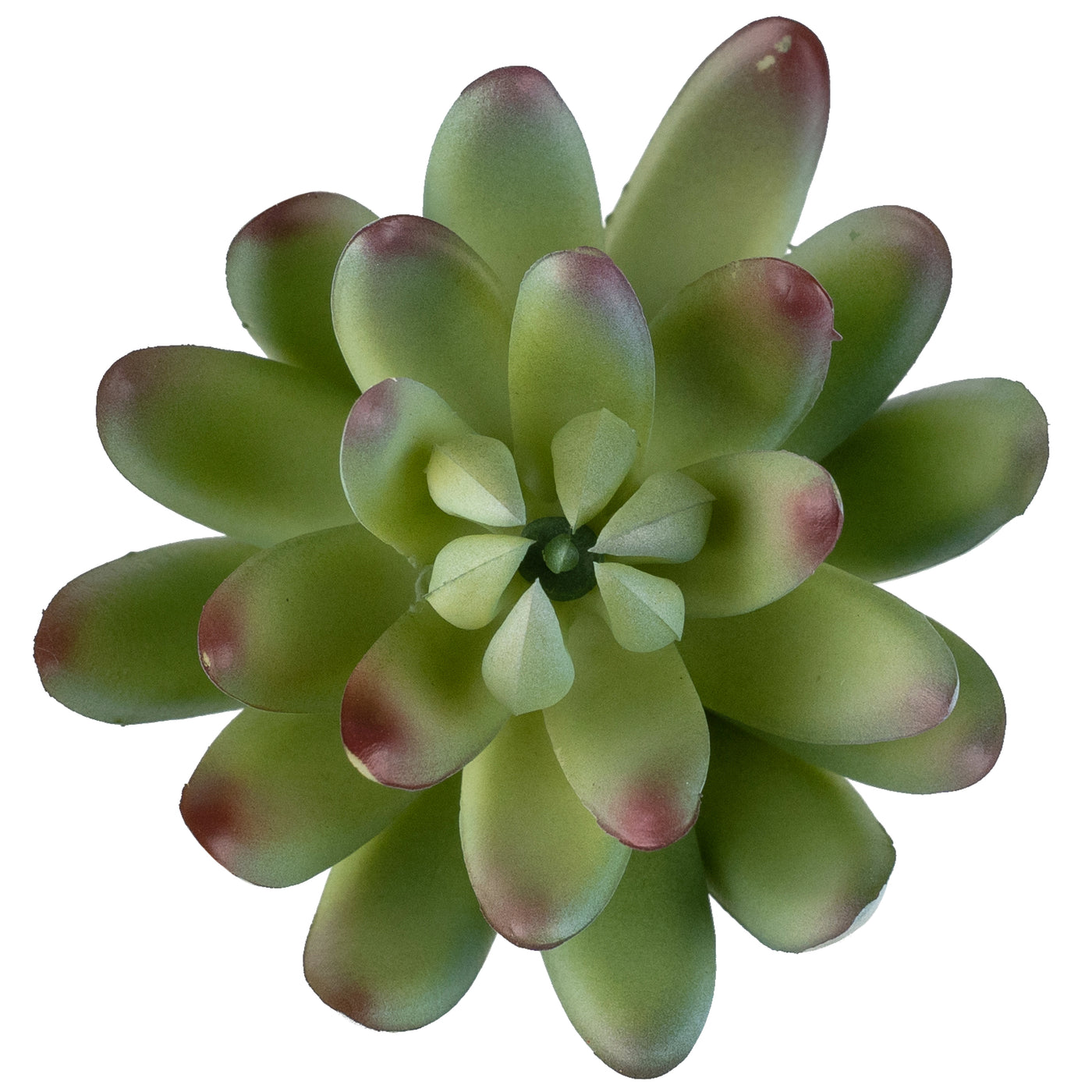 Planta artificiala Planta artificiala suculenta model20