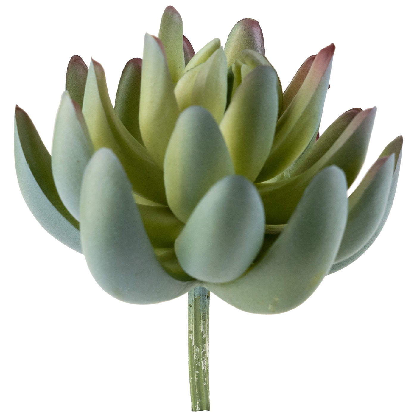 Planta artificiala Planta artificiala suculenta model20