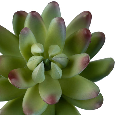 Planta artificiala Planta artificiala suculenta model20