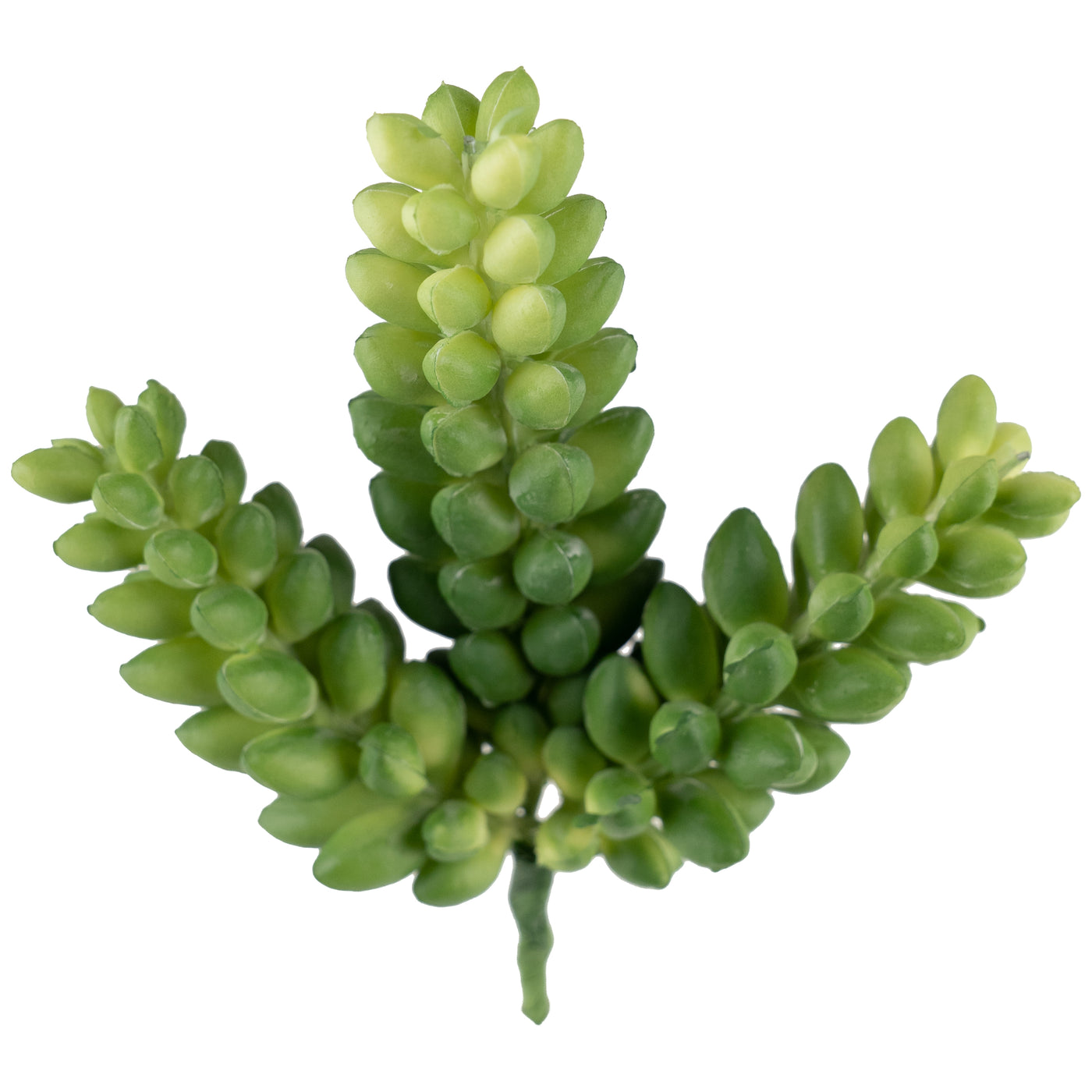 Planta artificiala Planta artificiala suculenta model25