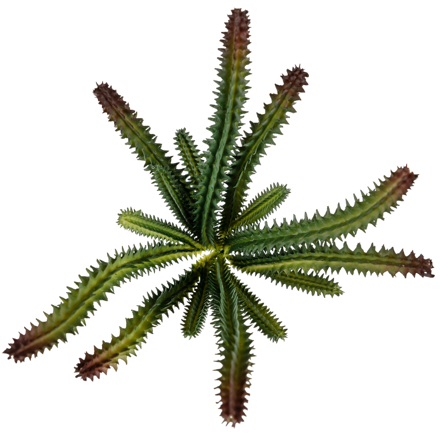 Planta artificiala Planta artificiala suculenta model26