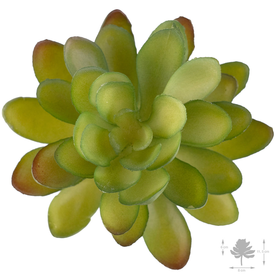 Planta artificiala Planta artificiala suculenta model28