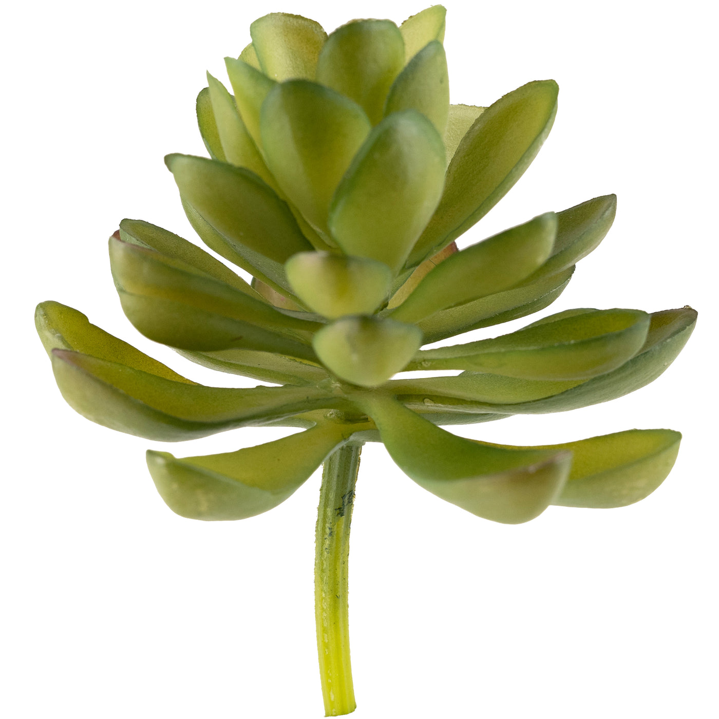 Planta artificiala Planta artificiala suculenta model28