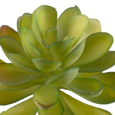 Planta artificiala Planta artificiala suculenta model28