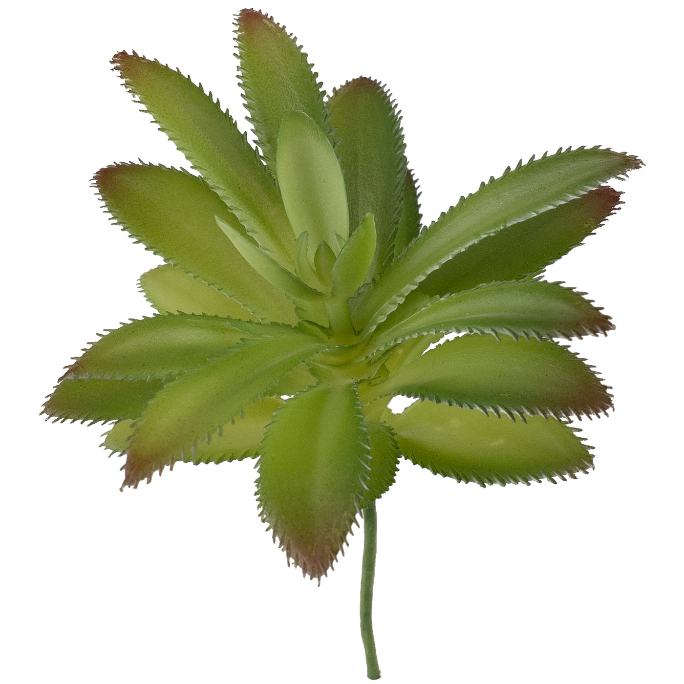 Planta artificiala Planta artificiala suculenta model29