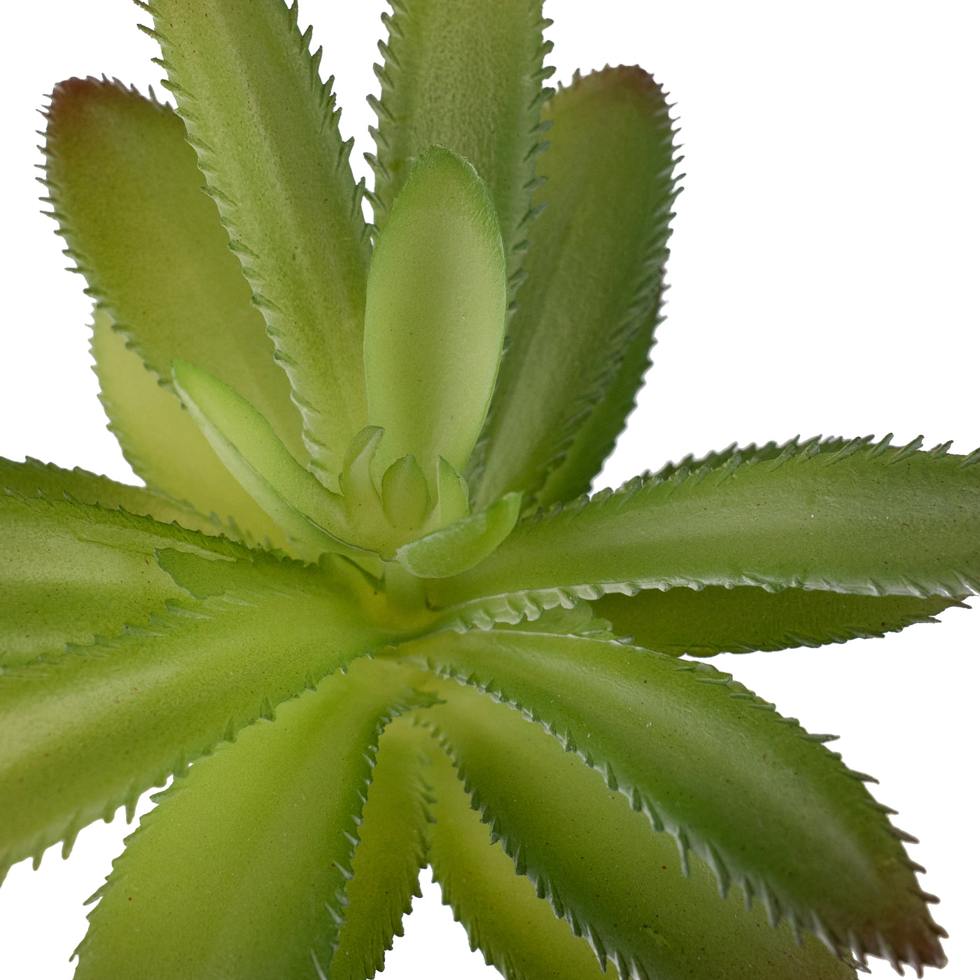 Planta artificiala Planta artificiala suculenta model29