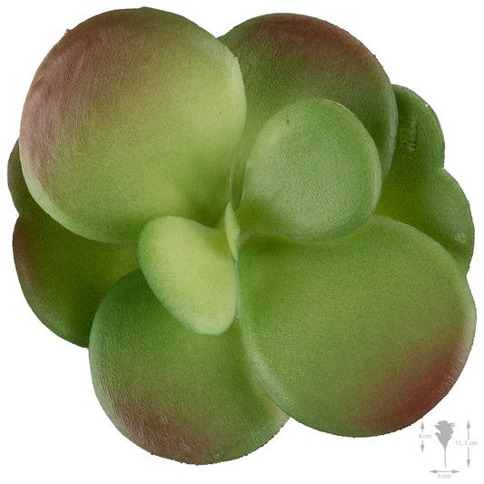 Planta artificiala Planta artificiala suculenta model31