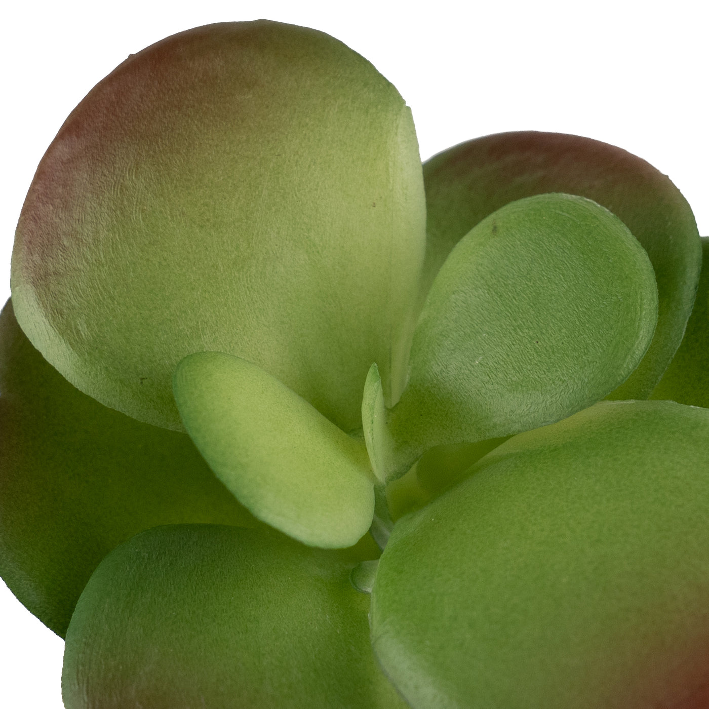 Planta artificiala Planta artificiala suculenta model31