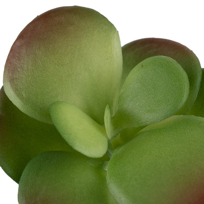 Planta artificiala Planta artificiala suculenta model31